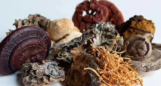 Ancient Ingredients for Skincare