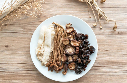 MUSHROOMS - A Comprehensive Discussion of Their Use in Skincare